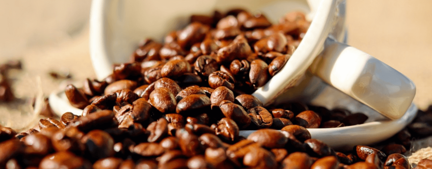 Brewmorphia specialty coffee shop gallery - premium coffee brewing, ceremonial matcha preparation, and artisan coffee experience 3